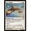 Magic: The Gathering Apex Hawks (002) Moderately Played