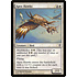 Magic: The Gathering Apex Hawks (002) Moderately Played