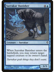 Magic: The Gathering Surrakar Banisher (039) Moderately Played
