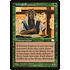 Magic: The Gathering Veteran Explorer (144) Lightly Played