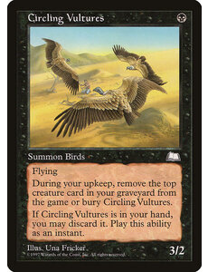 Magic: The Gathering Circling Vultures (064) Lightly Played