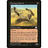 Magic: The Gathering Circling Vultures (064) Lightly Played