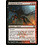 Magic: The Gathering Cryptborn Horror (212) Moderately Played