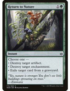 Magic: The Gathering Return to Nature (175) Lightly Played