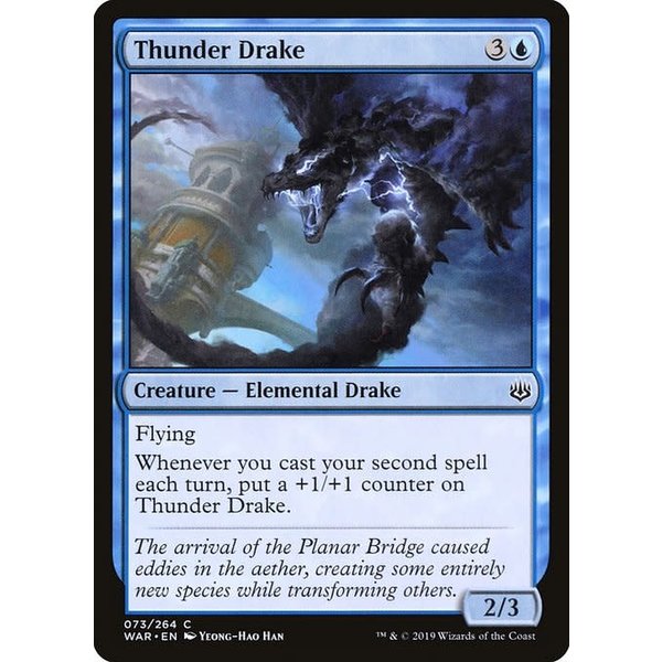 Magic: The Gathering Thunder Drake (073) Near Mint