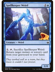 Magic: The Gathering Spellkeeper Weird (069) Lightly Played