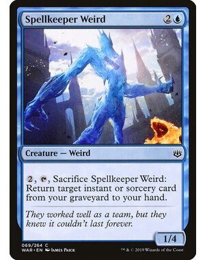 Magic: The Gathering Spellkeeper Weird (069) Lightly Played