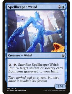 Magic: The Gathering Spellkeeper Weird (069) Near Mint