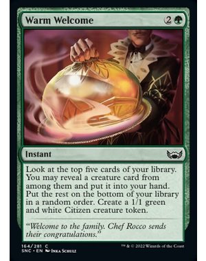 Magic: The Gathering Warm Welcome (164) Near Mint Foil
