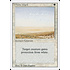Magic: The Gathering White Ward (045) Lightly Played