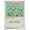 Magic: The Gathering Green Ward (020) Moderately Played
