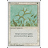 Magic: The Gathering Green Ward (020) Moderately Played