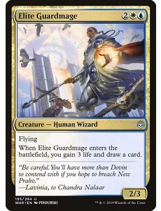 Magic: The Gathering Elite Guardmage (195) Near Mint