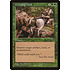 Magic: The Gathering Creeping Mold (103) Lightly Played