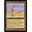Magic: The Gathering Karoo (165) Lightly Played