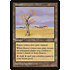 Magic: The Gathering Karoo (165) Lightly Played