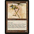 Magic: The Gathering Brass-Talon Chimera (142) Lightly Played