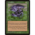 Magic: The Gathering Wind Shear (125) Lightly Played