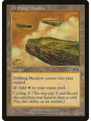 Magic: The Gathering Drifting Meadow (320) Lightly Played