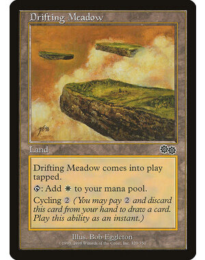 Magic: The Gathering Drifting Meadow (320) Lightly Played