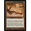 Magic: The Gathering Barrin's Codex (286) Lightly Played