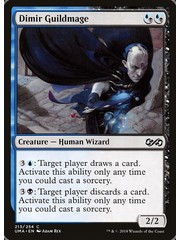 Magic: The Gathering Dimir Guildmage (213) Lightly Played