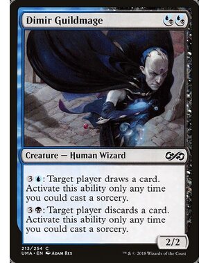 Magic: The Gathering Dimir Guildmage (213) Lightly Played