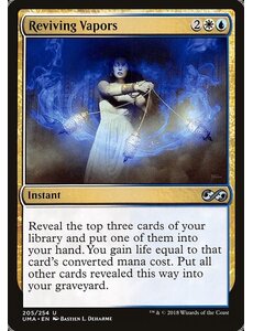 Magic: The Gathering Reviving Vapors (205) Lightly Played