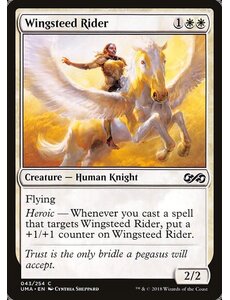 Magic: The Gathering Wingsteed Rider (043) Lightly Played