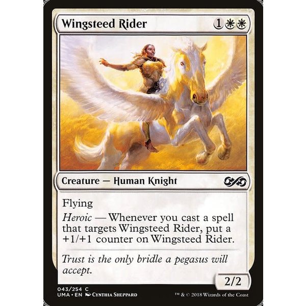 Magic: The Gathering Wingsteed Rider (043) Lightly Played