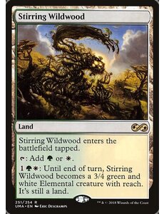 Magic: The Gathering Stirring Wildwood (251) Lightly Played