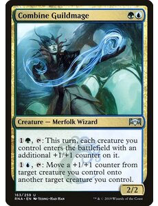 Magic: The Gathering Combine Guildmage (163) Near Mint
