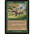 Magic: The Gathering Repopulate (111) Lightly Played Foil