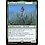 Magic: The Gathering Thelon of Havenwood (238) Lightly Played