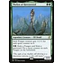 Magic: The Gathering Thelon of Havenwood (238) Lightly Played