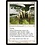 Magic: The Gathering Flickerwisp (294) Lightly Played Foil