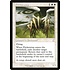 Magic: The Gathering Flickerwisp (294) Lightly Played Foil