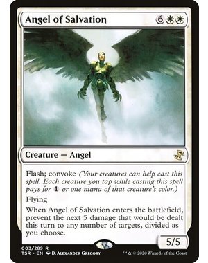 Magic: The Gathering Angel of Salvation (003) Lightly Played