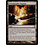 Magic: The Gathering Terramorphic Expanse (279) Moderately Played