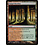 Magic: The Gathering Fungal Reaches (273) Lightly Played