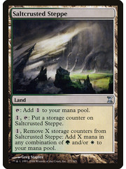 Magic: The Gathering Saltcrusted Steppe (277) Lightly Played