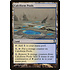 Magic: The Gathering Calciform Pools (270) Lightly Played