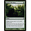 Magic: The Gathering Thrill of the Hunt (229) Moderately Played
