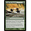 Magic: The Gathering Tromp the Domains (230) Moderately Played Foil