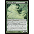 Magic: The Gathering Phantom Wurm (211) Moderately Played