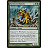 Magic: The Gathering Durkwood Baloth (193) Moderately Played