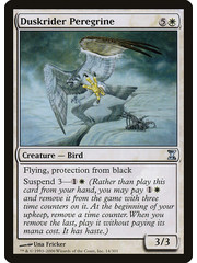Magic: The Gathering Duskrider Peregrine (014) Moderately Played