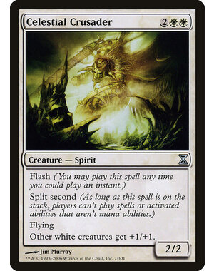 Magic: The Gathering Celestial Crusader (007) Moderately Played