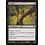 Magic: The Gathering Torture (080) Moderately Played
