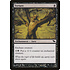 Magic: The Gathering Torture (080) Moderately Played